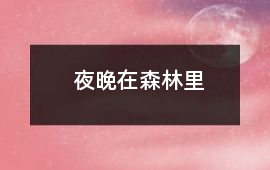 夜晚,在森林里