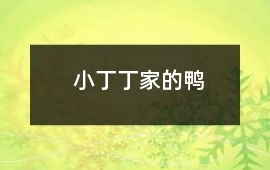 小丁丁家的鴨