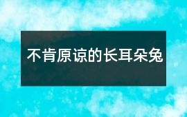 不肯原諒的長耳朵兔