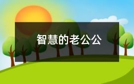 智慧的老公公