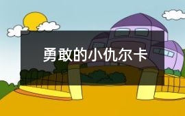 勇敢的小仇爾卡