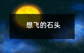 想飛的石頭