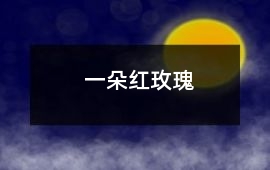 一朵紅玫瑰