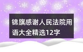 錦旗感謝人民法院用語大全精選12字