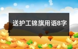 送護工錦旗用語8字