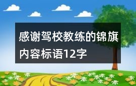 感謝駕校教練的錦旗內容標語12字