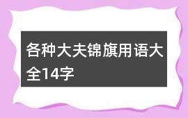 各種大夫錦旗用語大全14字