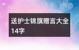 送護士錦旗贈言大全14字