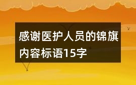 感謝醫護人員的錦旗內容標語15字