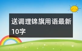 送調(diào)理錦旗用語最新10字