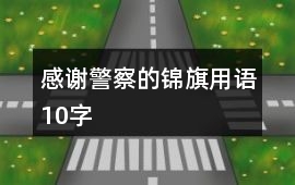 感謝警察的錦旗用語10字