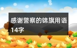 感謝警察的錦旗用語14字
