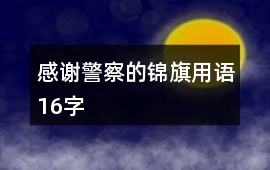 感謝警察的錦旗用語16字