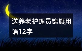 送養老護理員錦旗用語12字