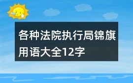 各種法院執行局錦旗用語大全12字