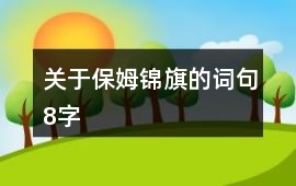 關于保姆錦旗的詞句8字