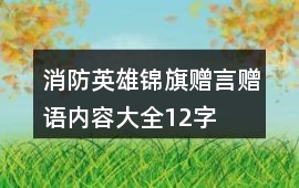 消防英雄錦旗贈言贈語內容大全12字
