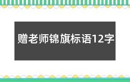 贈老師錦旗標語12字