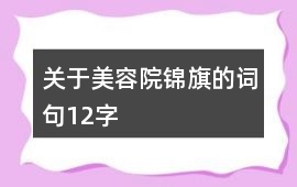 關于美容院錦旗的詞句12字