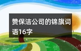贊保潔公司的錦旗詞語16字