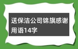 送保潔公司錦旗感謝用語14字
