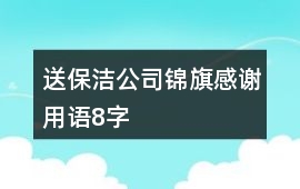 送保潔公司錦旗感謝用語8字