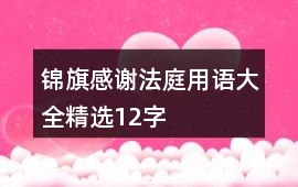 錦旗感謝法庭用語大全精選12字