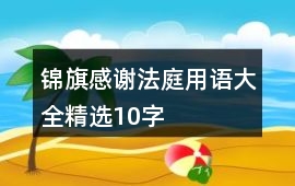 錦旗感謝法庭用語大全精選10字