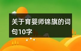 關于育嬰師錦旗的詞句10字