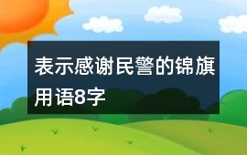 表示感謝民警的錦旗用語8字