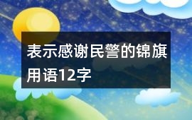 表示感謝民警的錦旗用語12字