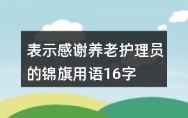 表示感謝養(yǎng)老護(hù)理員的錦旗用語16字