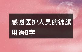 感謝醫護人員的錦旗用語8字