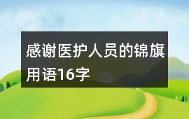 感謝醫護人員的錦旗用語16字