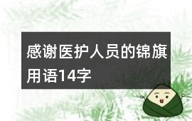 感謝醫護人員的錦旗用語14字