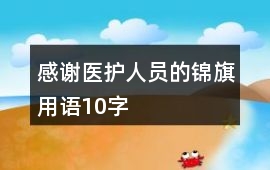 感謝醫(yī)護人員的錦旗用語10字