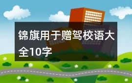 錦旗用于贈駕校語大全10字