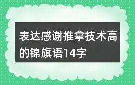 表達(dá)感謝推拿技術(shù)高的錦旗語(yǔ)14字