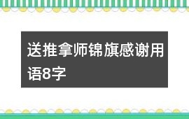 送推拿師錦旗感謝用語8字