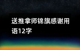 送推拿師錦旗感謝用語12字