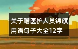 關于贈醫護人員錦旗用語句子大全12字