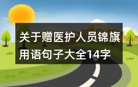 關于贈醫護人員錦旗用語句子大全14字