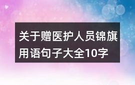 關于贈醫護人員錦旗用語句子大全10字