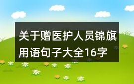 關于贈醫護人員錦旗用語句子大全16字