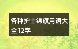 各種護士錦旗用語大全12字