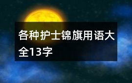 各種護士錦旗用語大全13字