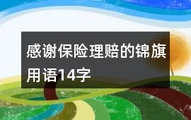 感謝保險理賠的錦旗用語14字
