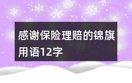 感謝保險理賠的錦旗用語12字