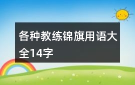 各種教練錦旗用語大全14字