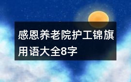 感恩養老院護工錦旗用語大全8字